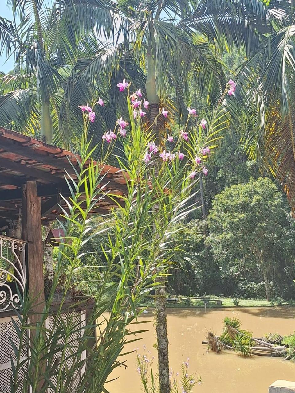 Chacara Ladeira De Pedra Villa Salesopolis Exterior photo